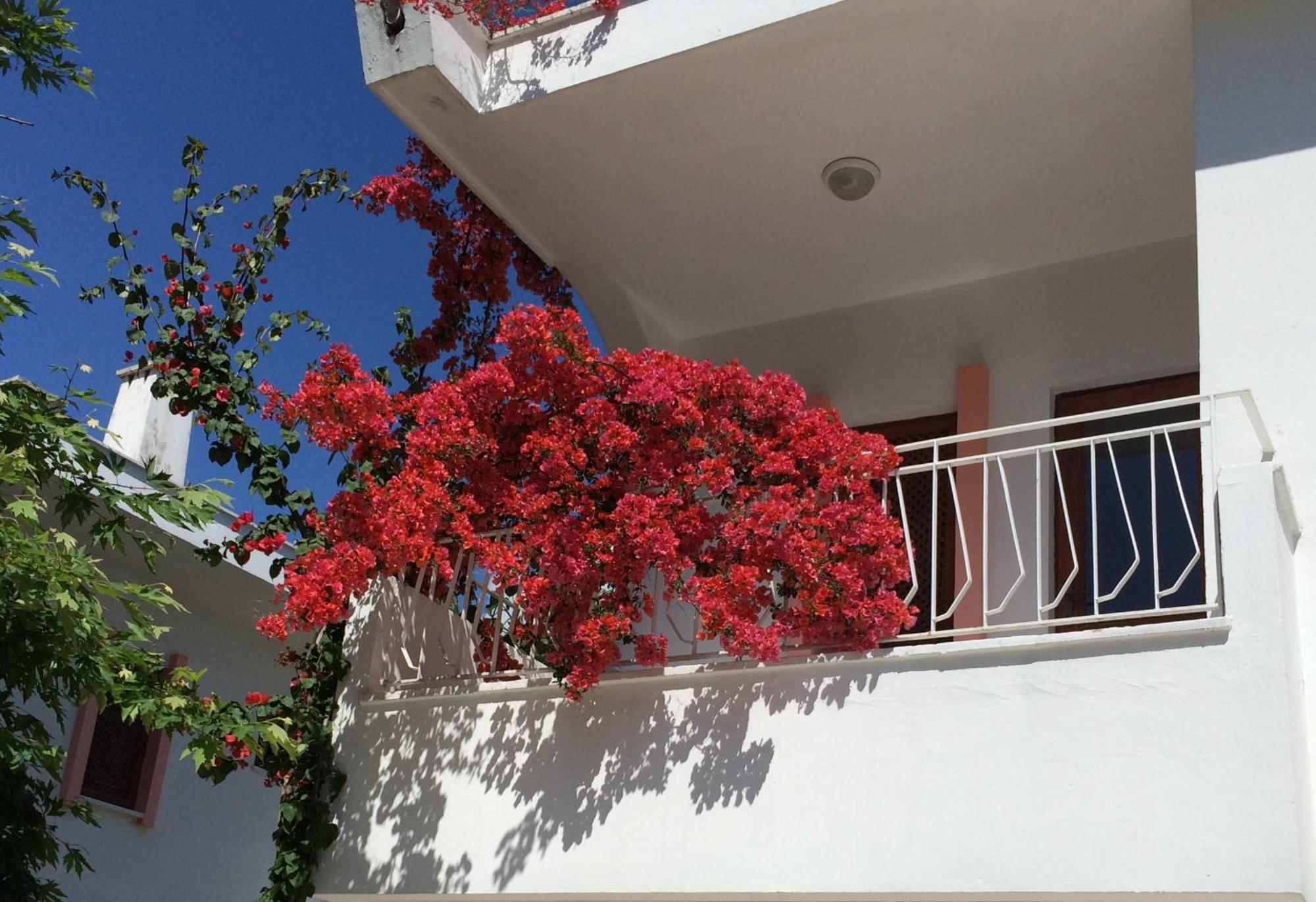 Flower Villa Apart Kemer Exterior foto