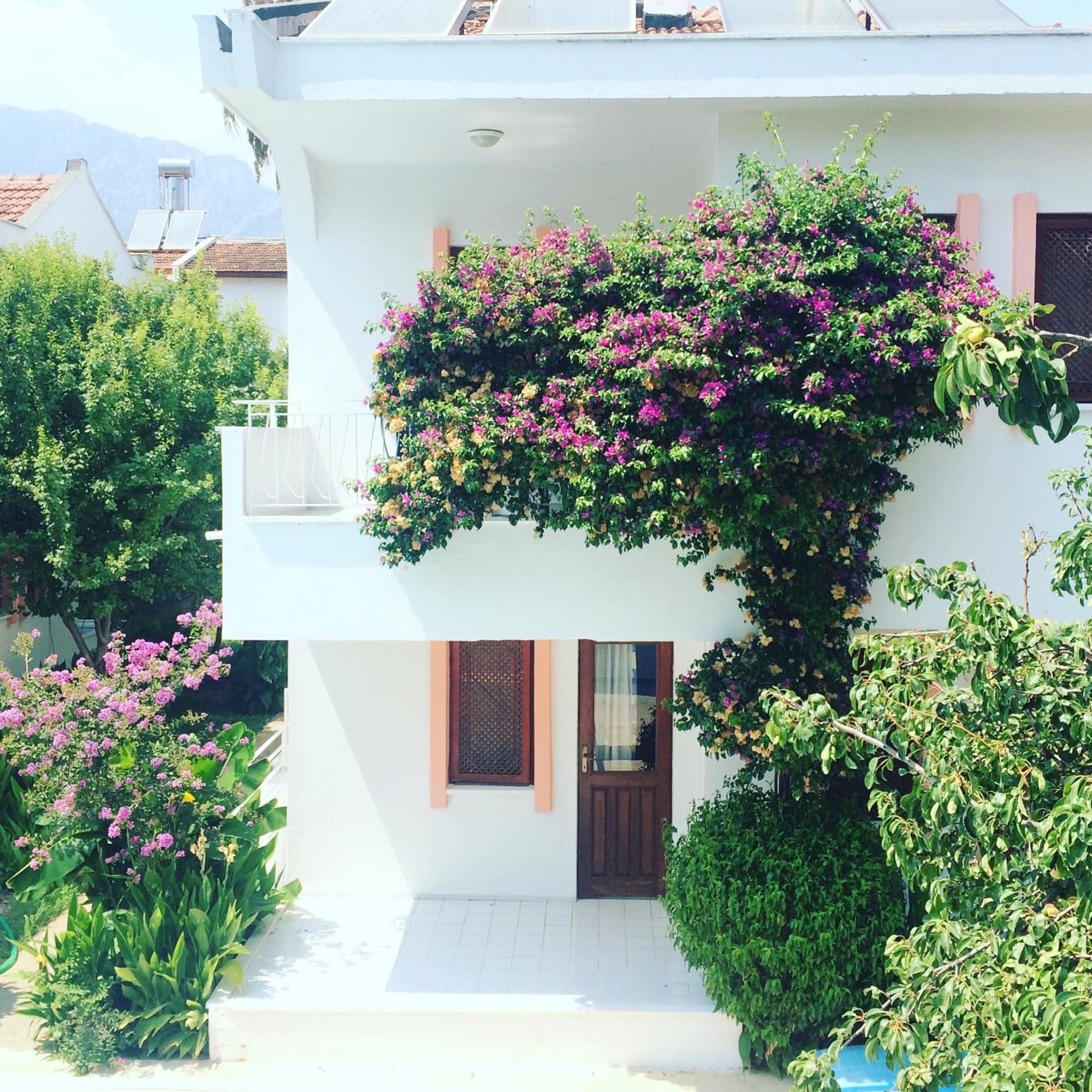 Flower Villa Apart Kemer Exterior foto